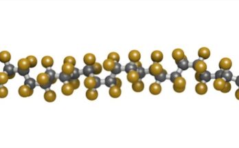 PTFE Membrane Market