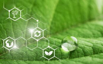 Green Chemicals Market Forecast 2028: Trends & Competition