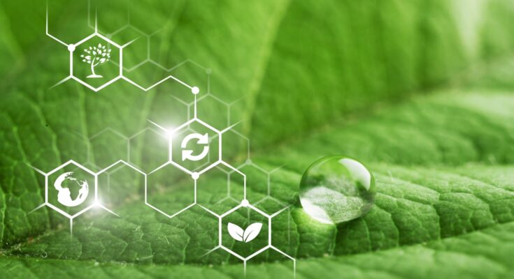 Green Chemicals Market Forecast 2028: Trends & Competition