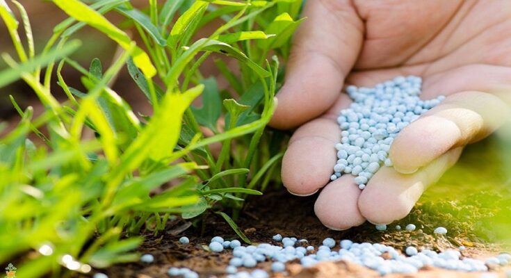 India Neem Coated Urea Market 2028: Analysis & Growth with Trends