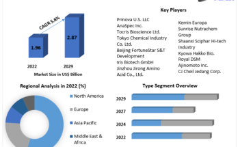 Methionine Market