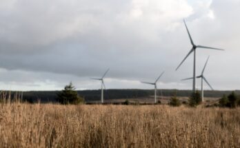 Off Shore Wind Turbine Market