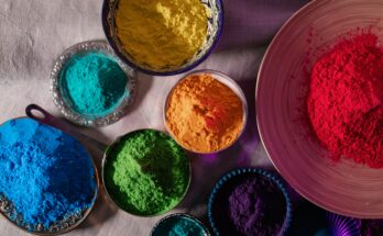 Organic Pigments Market