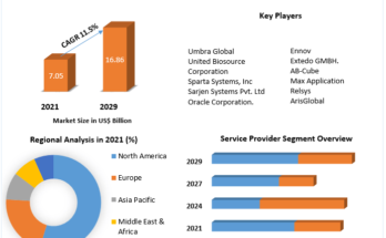 Pharmacovigilance Market