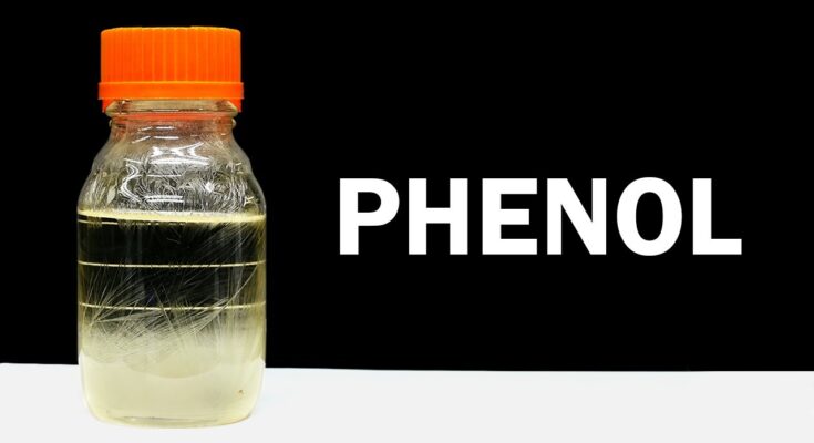 Phenol Derivatives Market 2028: Analysis & Growth with Trends