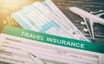 United States Business Travel Insurance Market