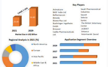 Veterinary Medicine Market