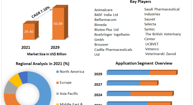 Veterinary Medicine Market