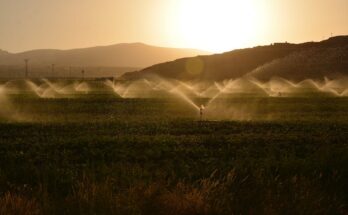 Microirrigation Systems Market