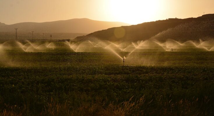 Microirrigation Systems Market