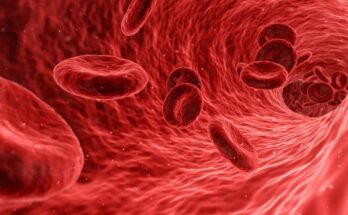 Thrombophilia Market