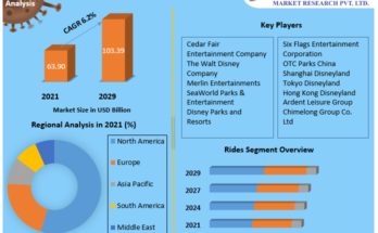 Amusement Parks Market