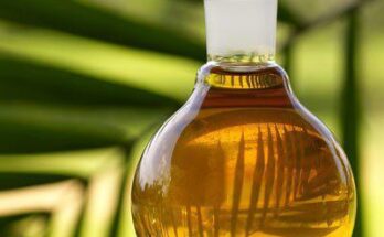 Asia Pacific Palm Methyl Ester Market 2027 - Share, Trends & Forecast