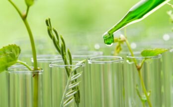 Biosolvents Market Analysis by Size Growth, Demand, Trends, Share & Overview