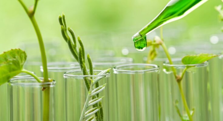 Biosolvents Market Analysis by Size Growth, Demand, Trends, Share & Overview