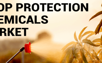 Crop Protection Chemicals Market Forecast 2025 - Overall Growth & Opportunities