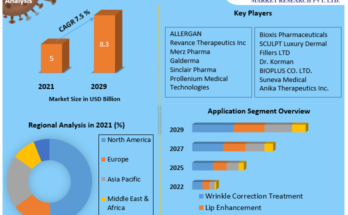 Dermal Fillers Market