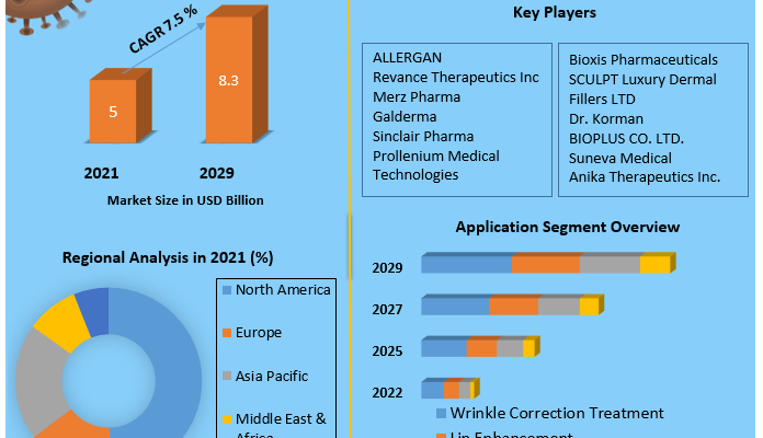 Dermal Fillers Market