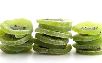 Dried Kiwi Fruit Market