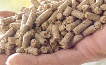 Germany Animal Feed Market 2025 - Trends, Opportunities & Forecast