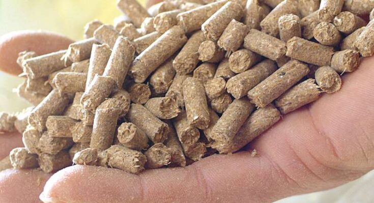 Germany Animal Feed Market 2025 - Trends, Opportunities & Forecast