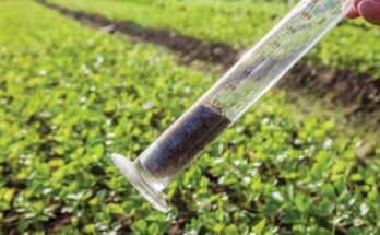 Global Agricultural Testing Market - Future, Scope, Trends