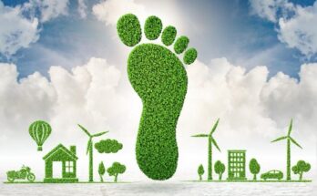 Global Carbon Footprint Management Market