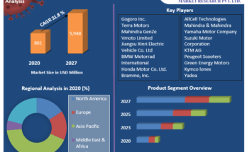 Electric Scooter Industry