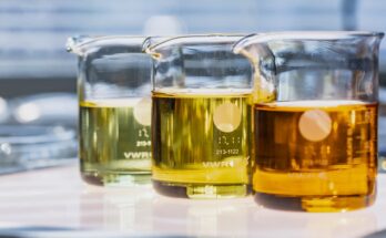 Global Tall Oil Rosin Market - Predicted Growth, Trends, Opportunity & Analysis