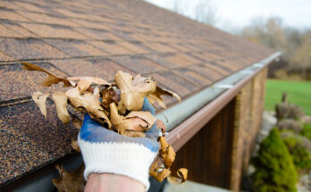 Gutter Cleaning Services Market