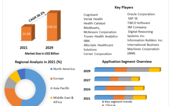 Healthcare Analytics Market