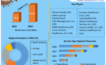 Healthcare Staffing Market