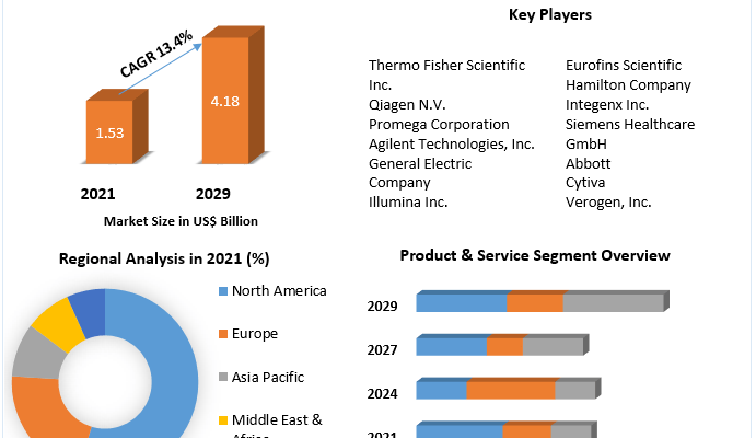 Human Identification Market