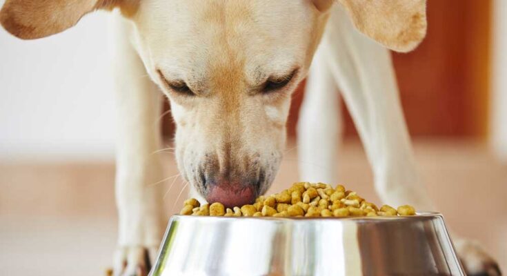 India Pet Food Market