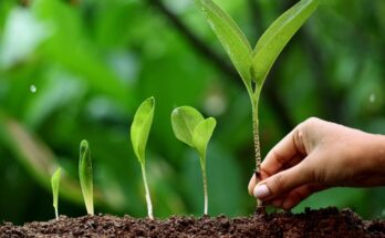 India Plant Growth Regulators Market 2025 - Share, Trends & Forecast