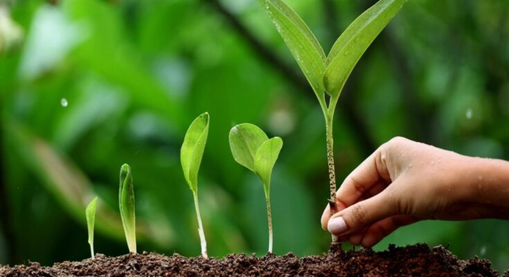 India Plant Growth Regulators Market 2025 - Share, Trends & Forecast