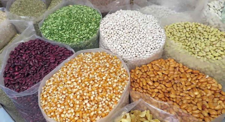 India Seed Market 2025 – Size, Growth Trends & Forecast