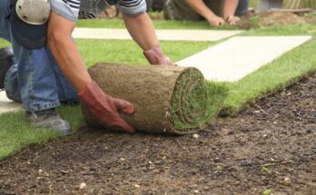 Landscaping Market 2027 - Trends, Opportunities & Forecast