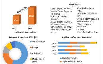 Network Optimization Services Market 