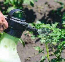 Global Organophosphate Insecticides Market