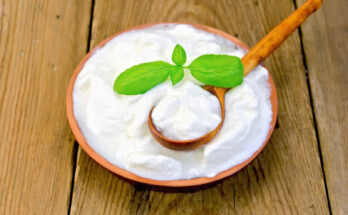 Probiotic Yoghurt Market