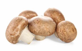 Retail Pack Cremini Mushroom Market