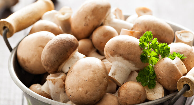 Retail Pack Shiitake Mushroom Market