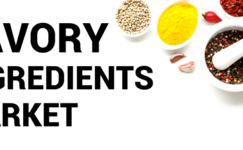 Savory Ingredients Market