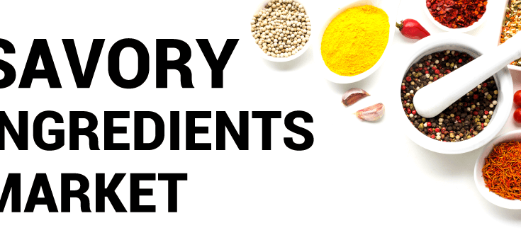 Savory Ingredients Market