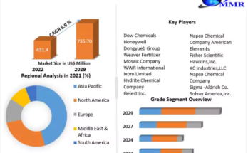 Fluorosilicic Acid Market