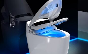 Smart Toilet Market