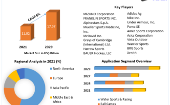 Sports Protective Equipment Market