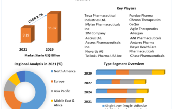 Transdermal Skin Patches Market