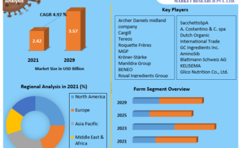 Wheat Protein Market